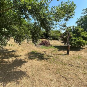 Villa in vendita a Figline e Incisa Valdarno