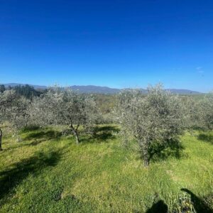 Terreno in vendita a Reggello