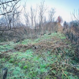 Terreno in vendita a Figline e Incisa Valdarno